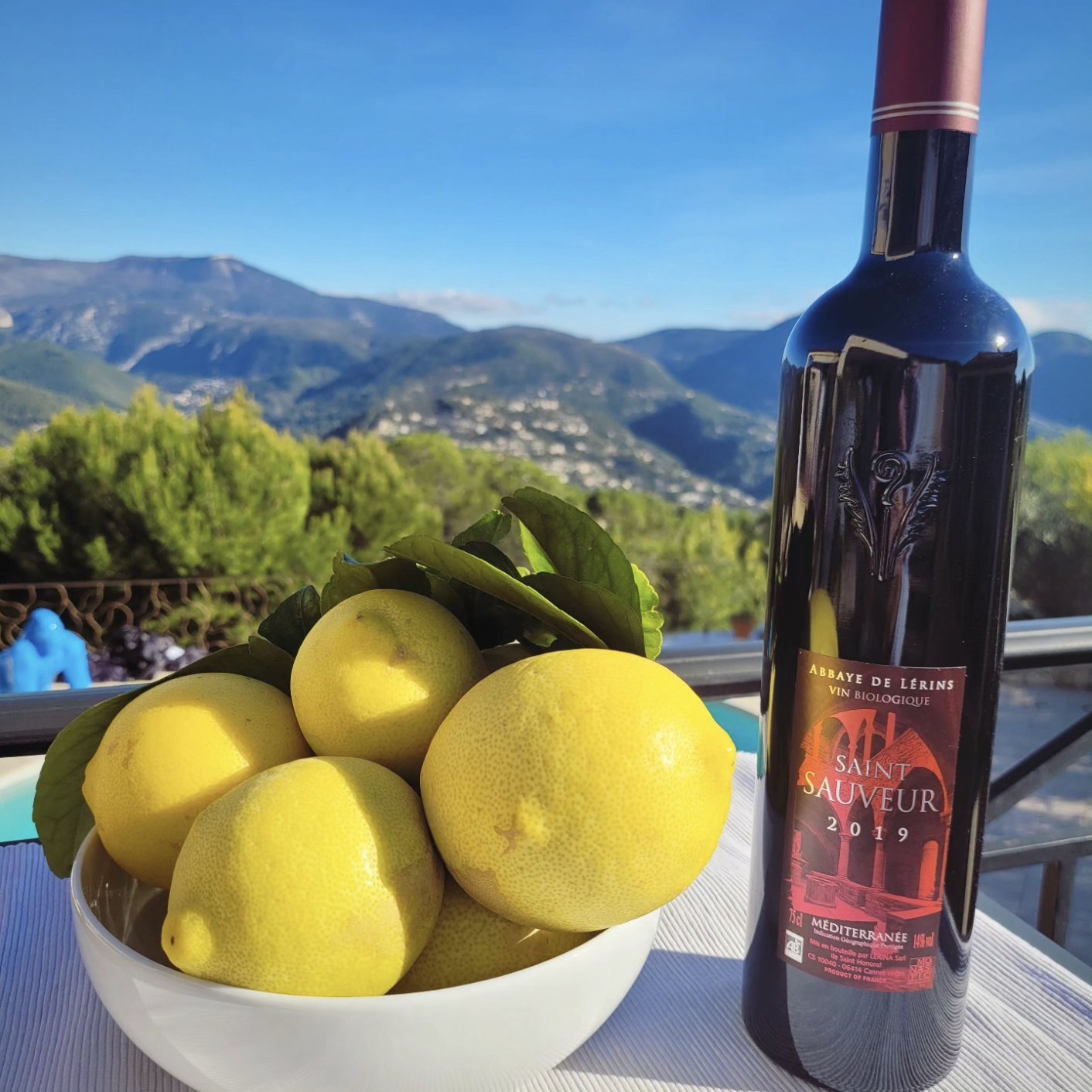 Citrons frais des restanques d'Èze, cueillis à la main